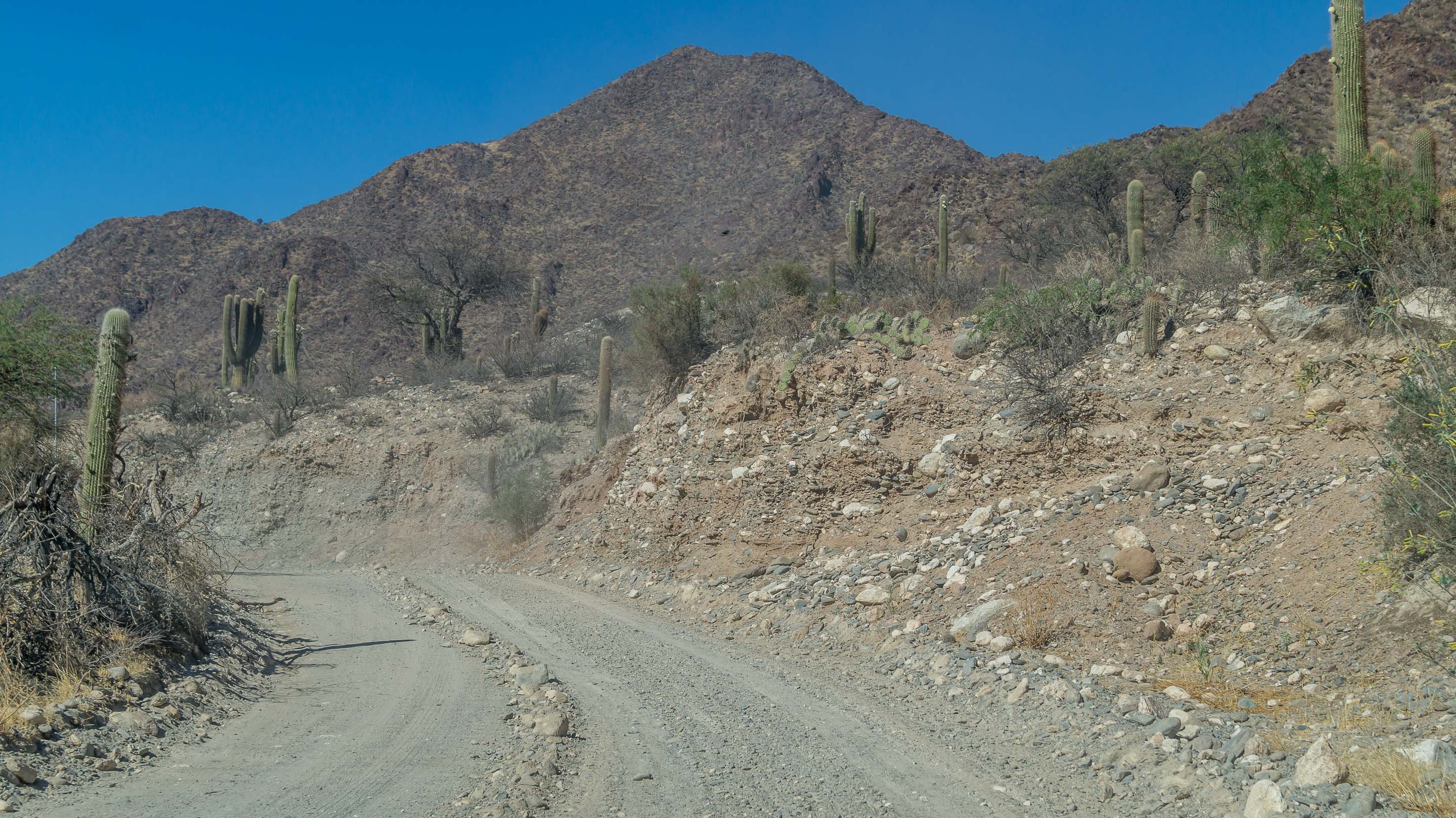 Droga z Cachi do Cafayate, Ruta 40, Salta
