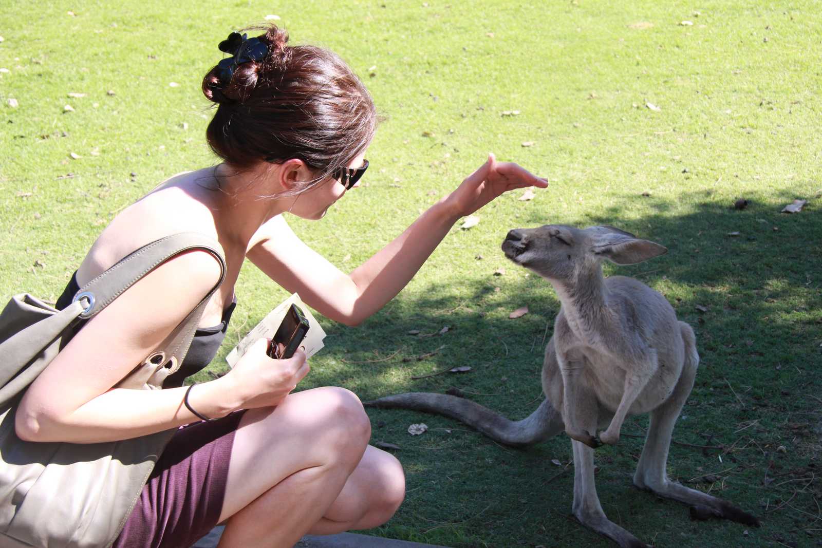 Ania z kangurem