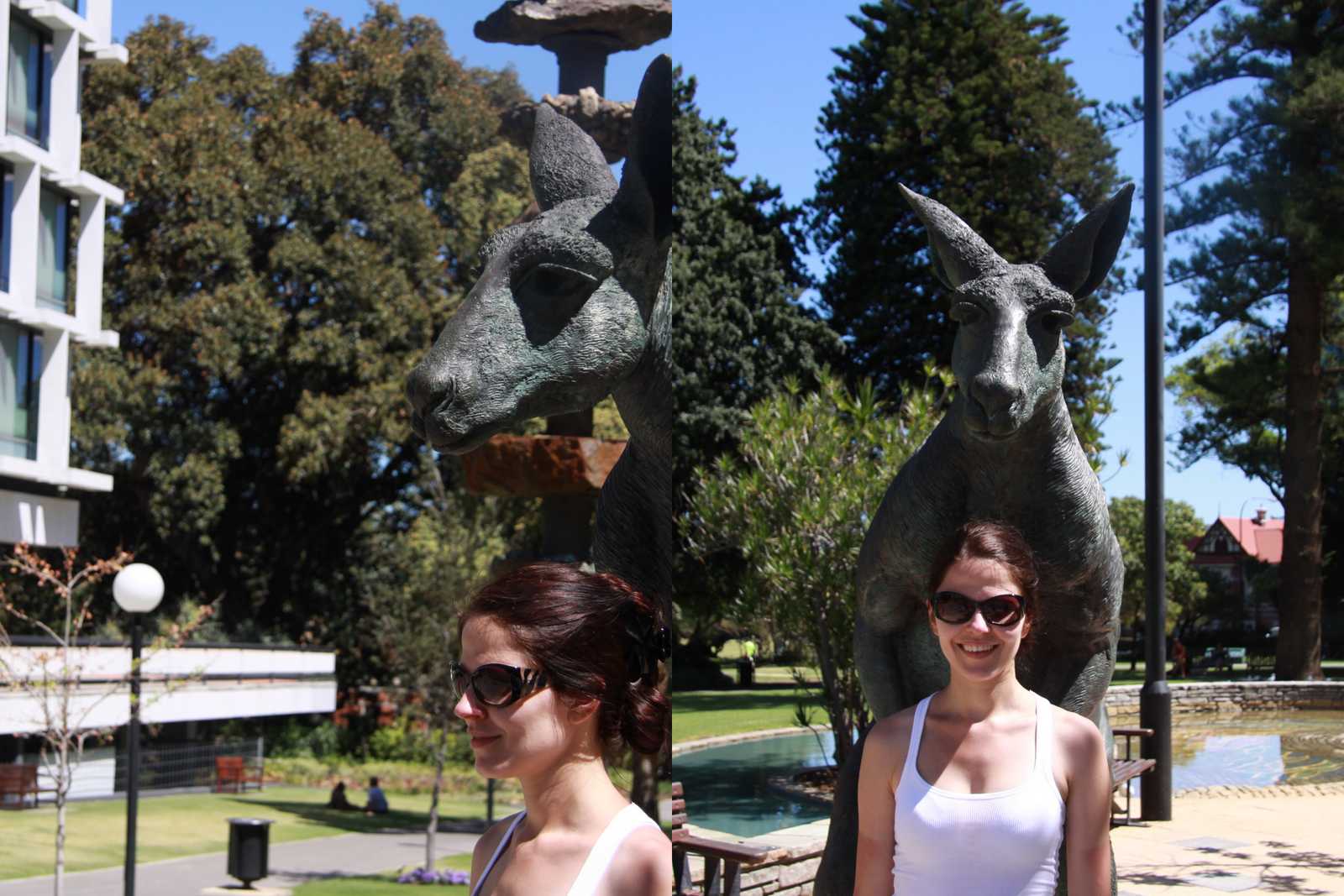 Sztuczne kangury w Perth i Ania