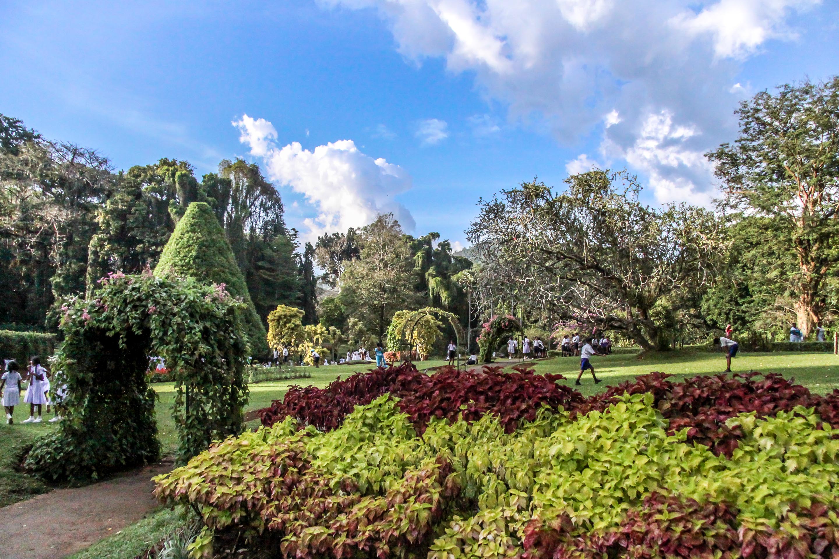 Ogród Botaniczny Peradeniya