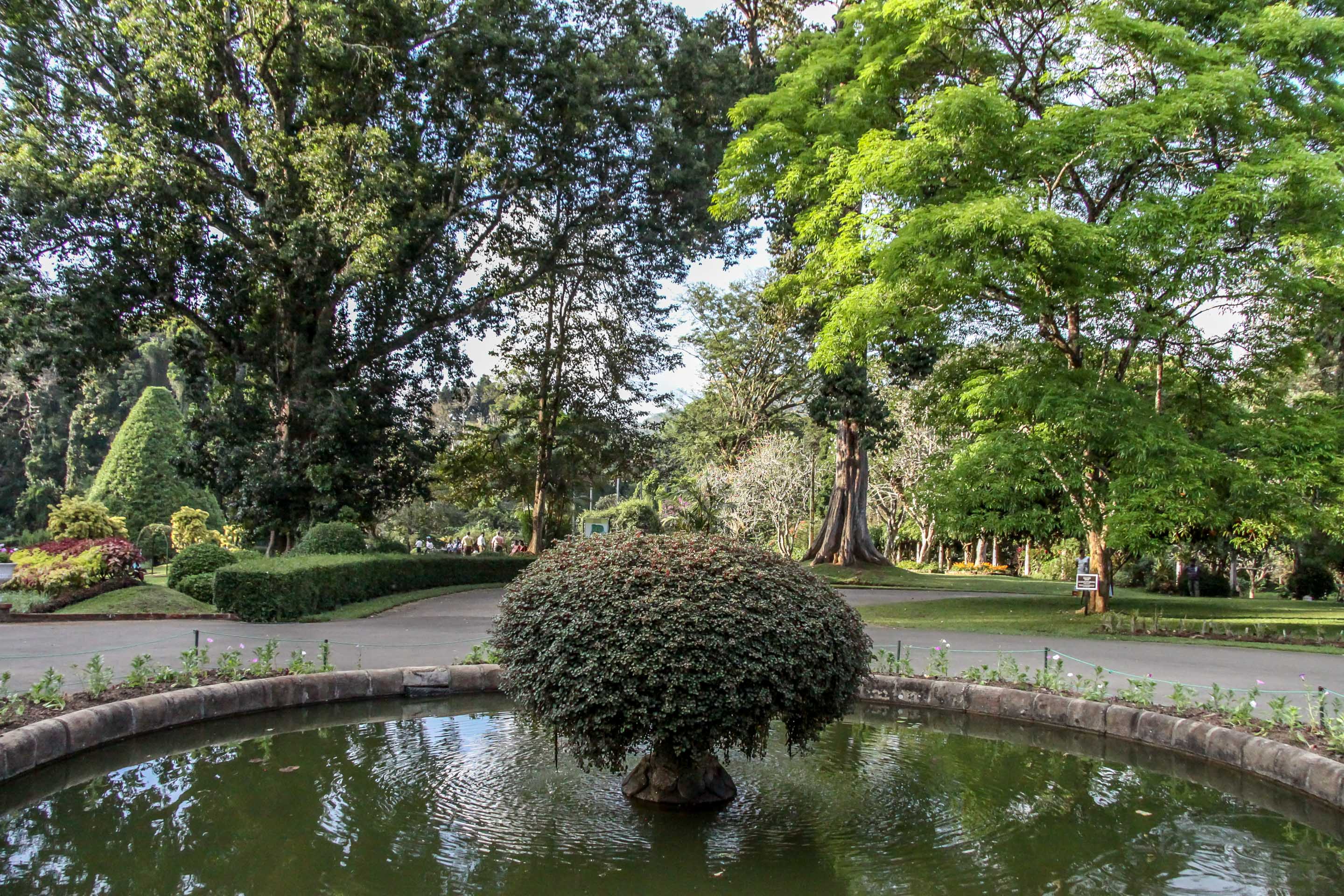 Ogród Botaniczny Peradeniya